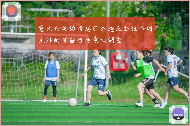 意大利足协考虑巴尔迪尼担任临时主帅的可能性与意向调查
